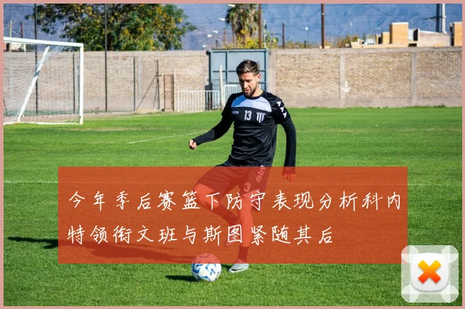 今年季后赛篮下防守表现分析科内特领衔文班与斯图紧随其后